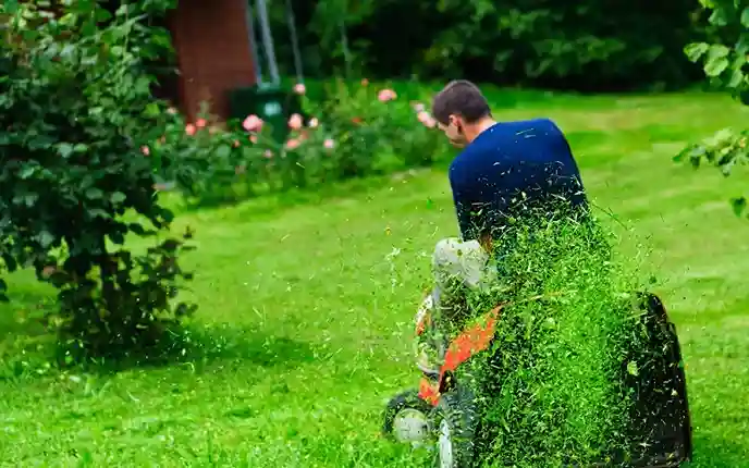 maintenance