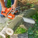 tree cutting image2