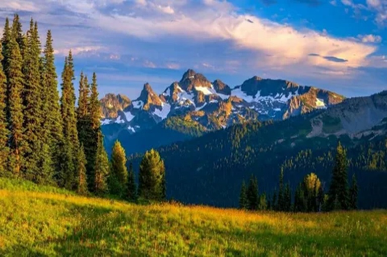 Top  Reasons to Hire a Natural Landscape Company for Your Outdoor Makeover