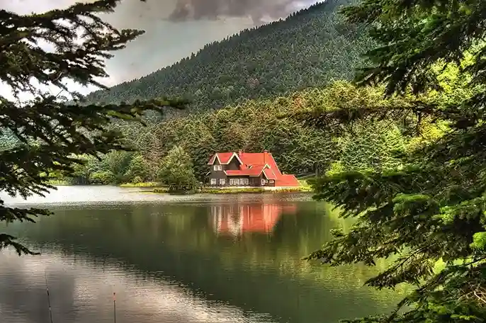 Nature Landscapes