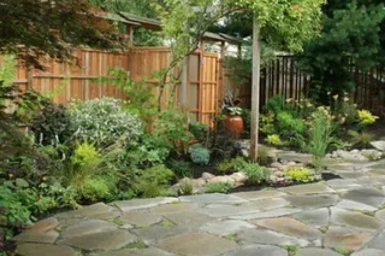 Grow Green: A Quick Guide to Sustainable Landscaping