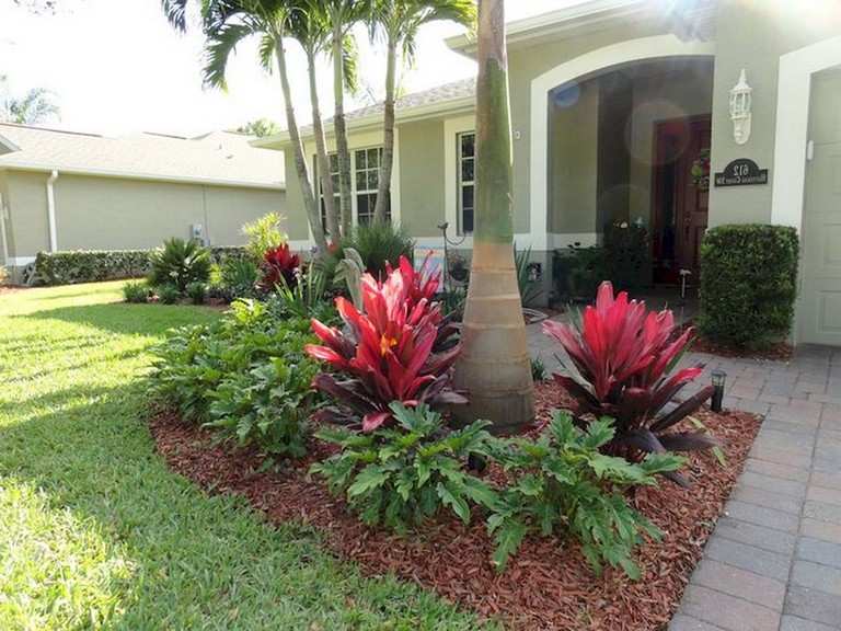 Top Garden Trends in Cambridge for 2025