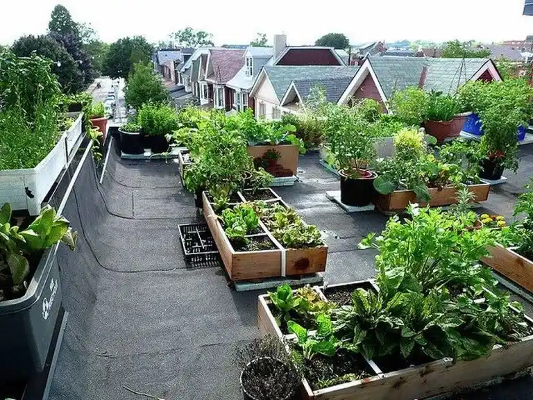 Top 10 Benefits of Hiring a Garden Designers in London