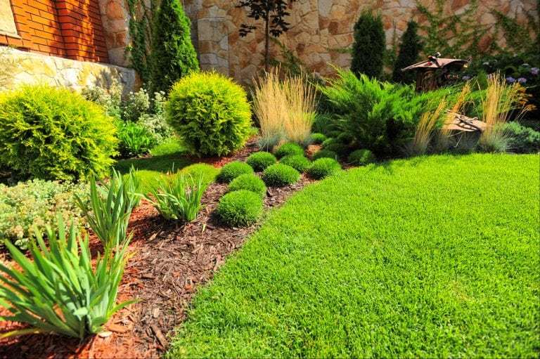 Simple Small Landscaping Ideas to Transform Your Curb Appeal