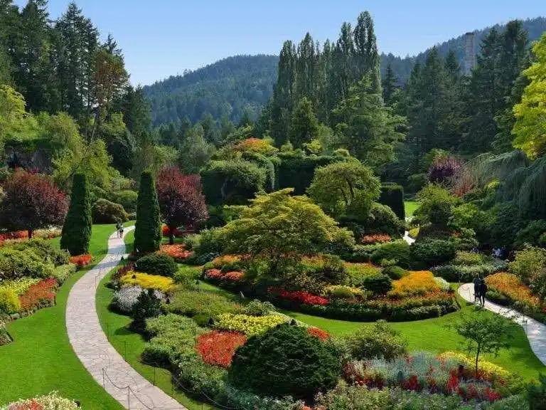 Landscaping Services in St Neots: Top Experts for Garden Design, Patios & More (2025)